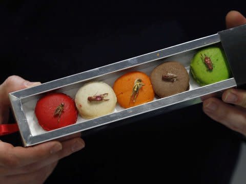 colorful macaroons