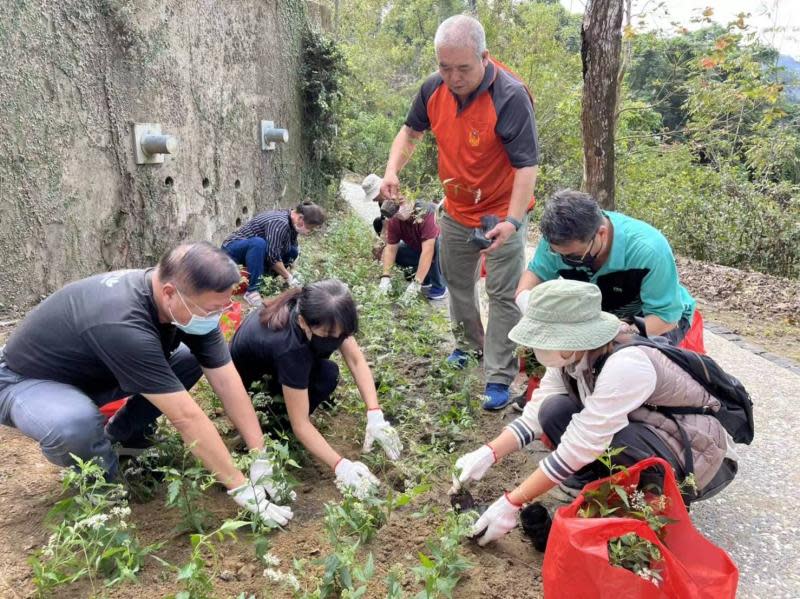 關子嶺紅葉公園重啟　西拉雅偕同業者打造蝴蝶樂園