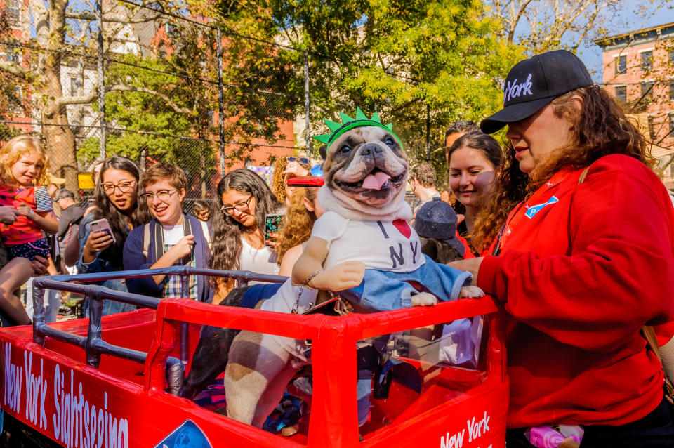 Costumed pooches prance In annual Halloween Dog Parade in New York City