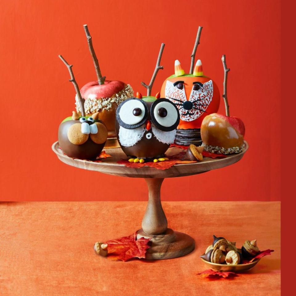 <p>Turn this fall-time favorite into woodland creatures your kids will love with leftover Halloween candy.</p><p><a rel="nofollow noopener" href="https://www.womansday.com/food-recipes/food-drinks/recipes/a52083/candy-apples/" target="_blank" data-ylk="slk:Get the recipe.;elm:context_link;itc:0;sec:content-canvas" class="link "><strong>Get the recipe.</strong></a></p>