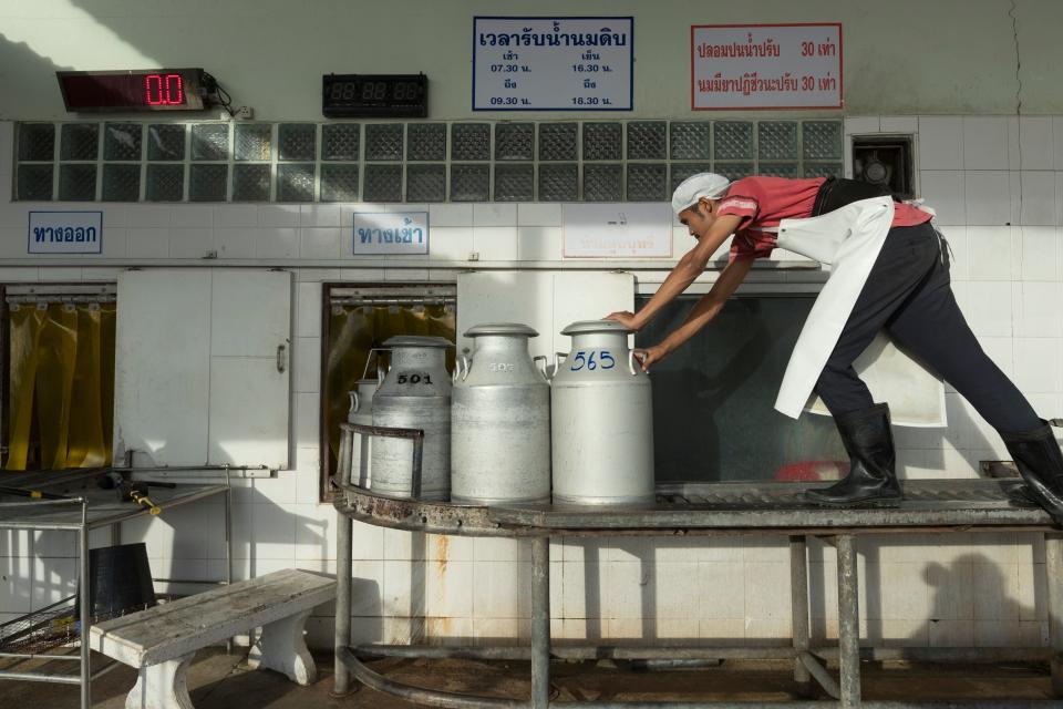 A worker moves cans of fresh milk dropped off by farmers so they can be weighed and tested at Prateep Farms in  Pak Chong, Thailand.