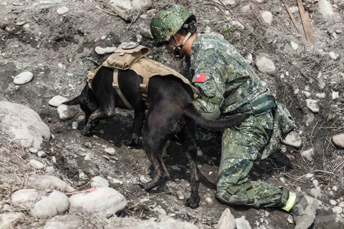 特戰犬Hola實施災區先期搜索，使特戰官兵能在最短時間有效達成救災任務。（軍聞社記者謝宏檜攝）