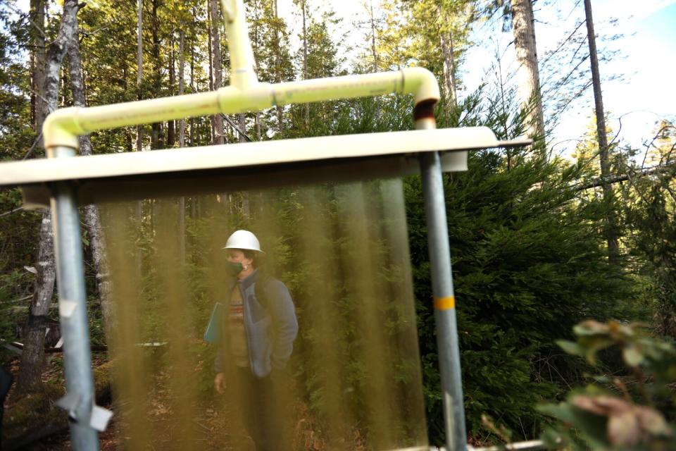 Hydrologist Elizabeth Keppeler in Jackson Demonstration State Forest