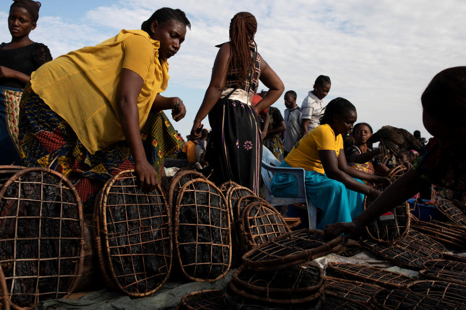 La caza de animales salvajes en el Congo amenaza con destruir la fauna de la región