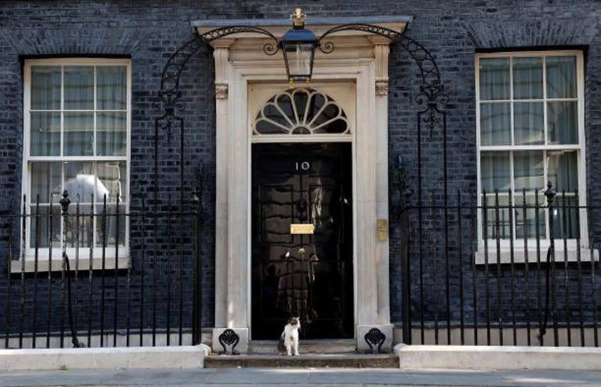 Number 10 is the official residence of chief mouser Larry the Cat (AFP via Getty Images)