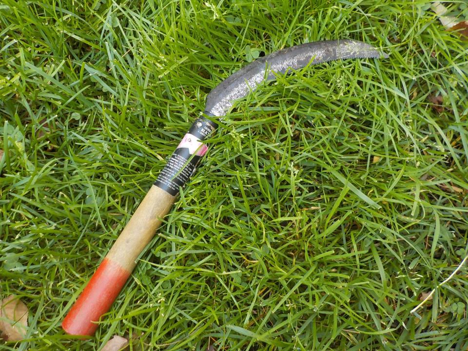 This harvest sickle is great for cutting back stems of flowers.