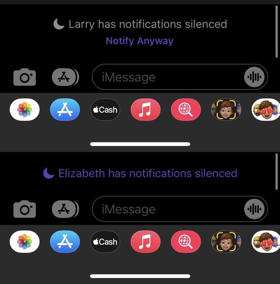 Screen showing silenced notification alerts for contacts 'Larry' and 'Elizabeth' with various app icons