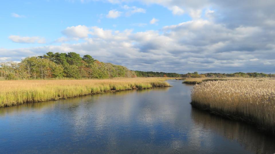 The splendid view from a bridge at the Bell's Neck Conservation Lands in Harwich.