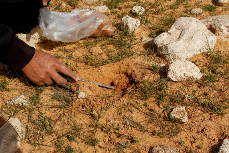 The Wider Image: 'Here it is, the truffle, a blessing from God!'