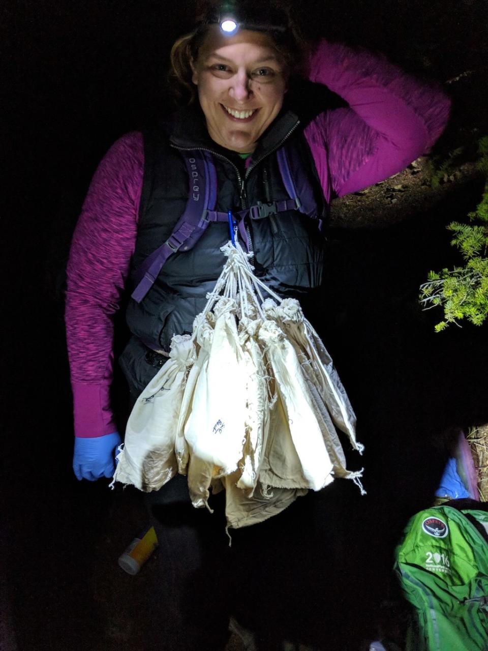 Catherine Haase, a postdoctoral researcher of wildlife ecology at Montana State University and modeling lead with the Wildlife Conservation Society, carries bags filled with bats so she can transport them down to the mobile laboratory. <cite>Sarah Olson/WCS</cite>