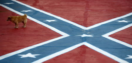 A dog walks through the American Southern Confederate flag painted in the floor in Santa Barbara D'Oeste, Brazil, April 24, 2015. REUTERS/Paulo Whitaker