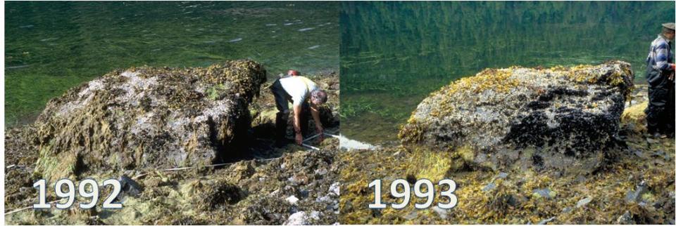 Mearns Rock 1992-1993 | NOAA