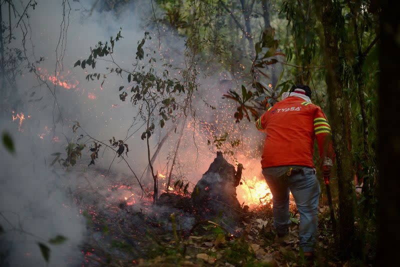 Wildfires in Veracruz, Mexico