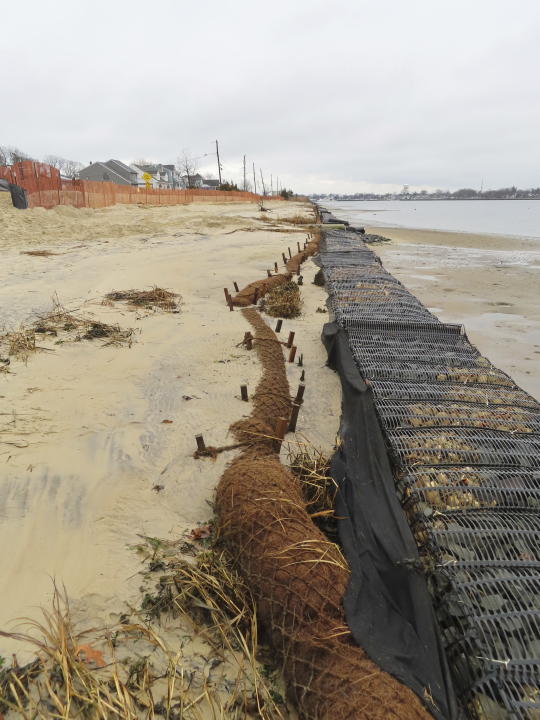 Logs of coconut husk known as coir sit on the bank of the Shark River in Neptune, N.J., Jan. 31, 2023 where the American Littoral Society doing a shoreline restoration project incorporating coconut fibers. The material is being used in shoreline stabilization projects around the world. (AP Photo/Wayne Parry)