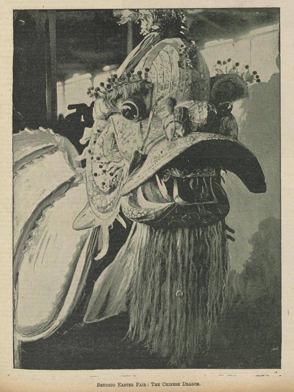 Bendigo’s ‘Duck Bill’ dragon, photographed here in 1896, was the first processional dragon in Victoria. <a href="https://trove.nla.gov.au/newspaper/article/139724228#" rel="nofollow noopener" target="_blank" data-ylk="slk:The Australasian/Trove;elm:context_link;itc:0;sec:content-canvas" class="link ">The Australasian/Trove</a>