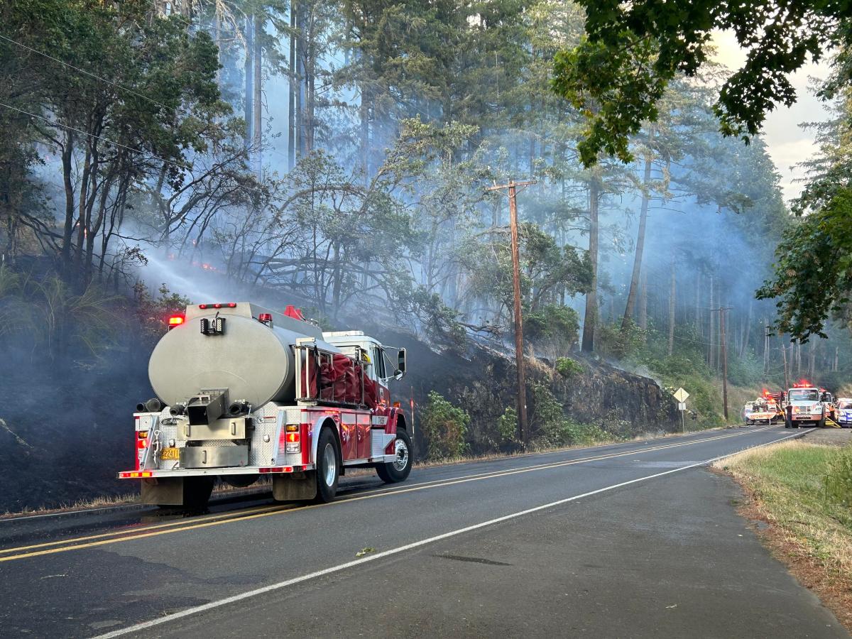 Fire crews battle blaze off McKenzie View Drive