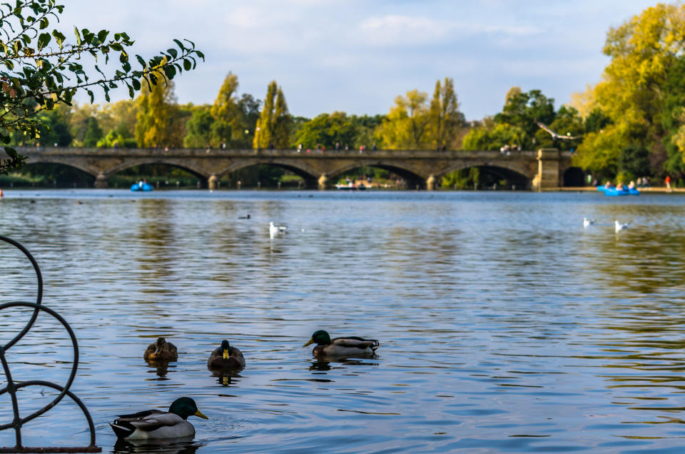 An outdoor dip clears the mind, is a great form of exercise – and cool you off. There are a number of lidos to choose from in central London, and <a href="https://www.royalparks.org.uk/parks/hyde-park/things-to-see-and-do/sports-and-leisure/serpentine-lido" rel="nofollow noopener" target="_blank" data-ylk="slk:The Serpentine;elm:context_link;itc:0;sec:content-canvas" class="link ">The Serpentine</a> is one of the best. Located in Hyde Park, it’s easy to reach, yet is set amidst beautiful greeney. History buffs will also love the fact it’s the oldest swimming club in London. For just £4.80, you can take a bracing swim from June until the beginning of September. Give the swans and geese a wide berth, pull on your goggles – and jump in. <em>[Photo: Getty]</em>