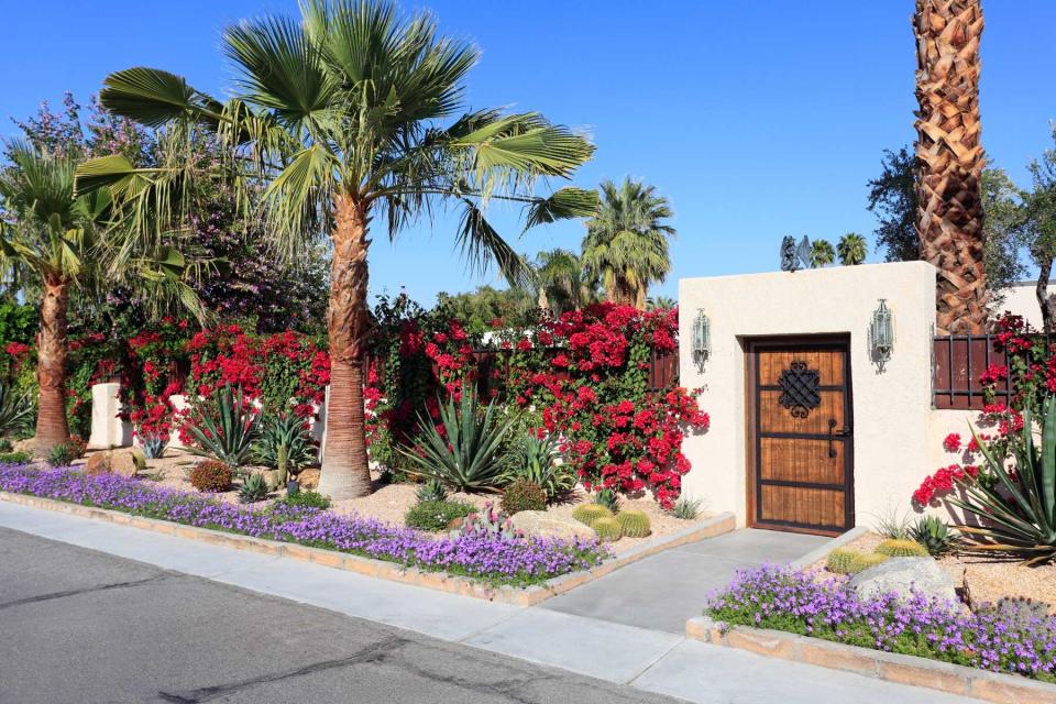 California desert floral garden at a home