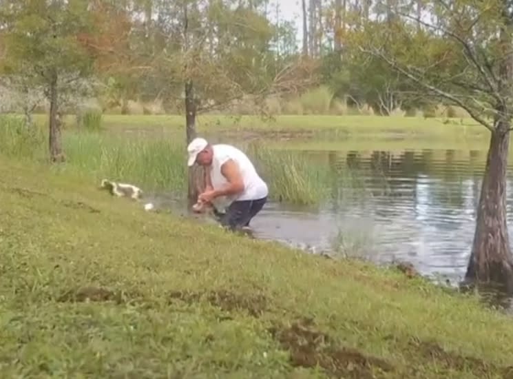 該名主人用蠻力將鱷魚的嘴巴扳開，而愛犬也順利的從鱷魚嘴裡逃出。（圖／翻攝自wingwomanmc TikTok）