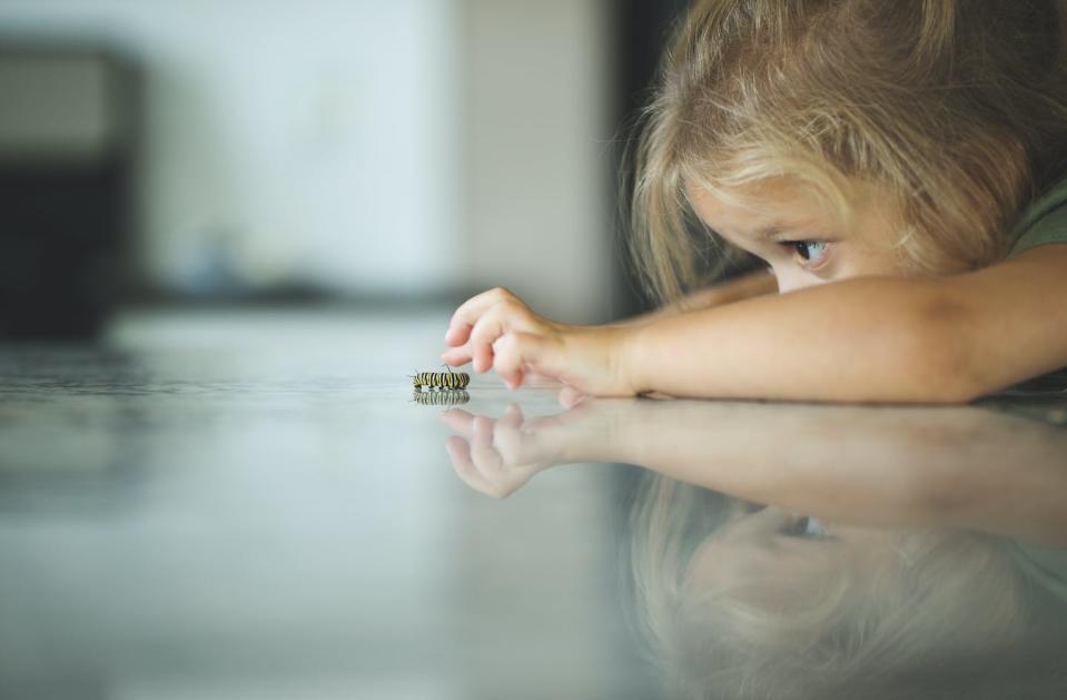 Kids have different learning styles, and so do different creatures. <a href="https://www.gettyimages.com/detail/photo/surface-level-of-curious-girl-looking-at-royalty-free-image/1187823750?adppopup=true" rel="nofollow noopener" target="_blank" data-ylk="slk:Cavan Images via Getty Images;elm:context_link;itc:0;sec:content-canvas" class="link ">Cavan Images via Getty Images</a>