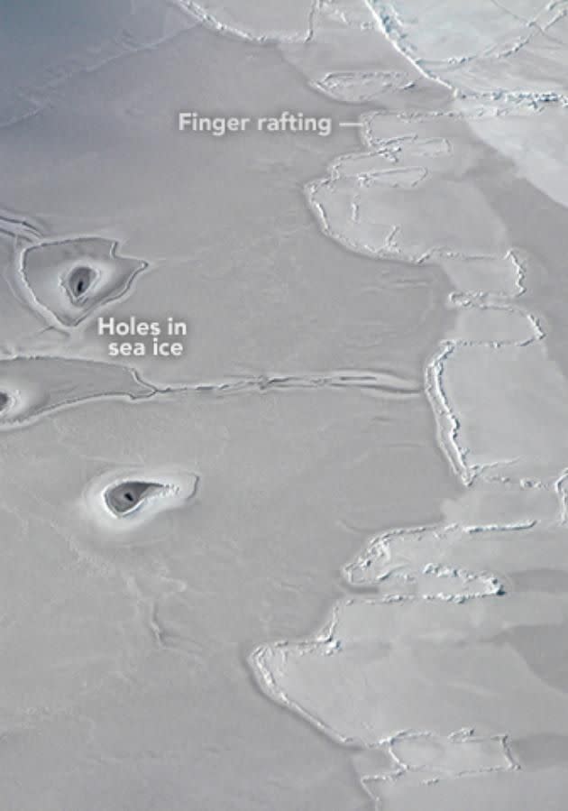 The image of finger rafting proves as evidence of thin ice colliding together. Source: NASA