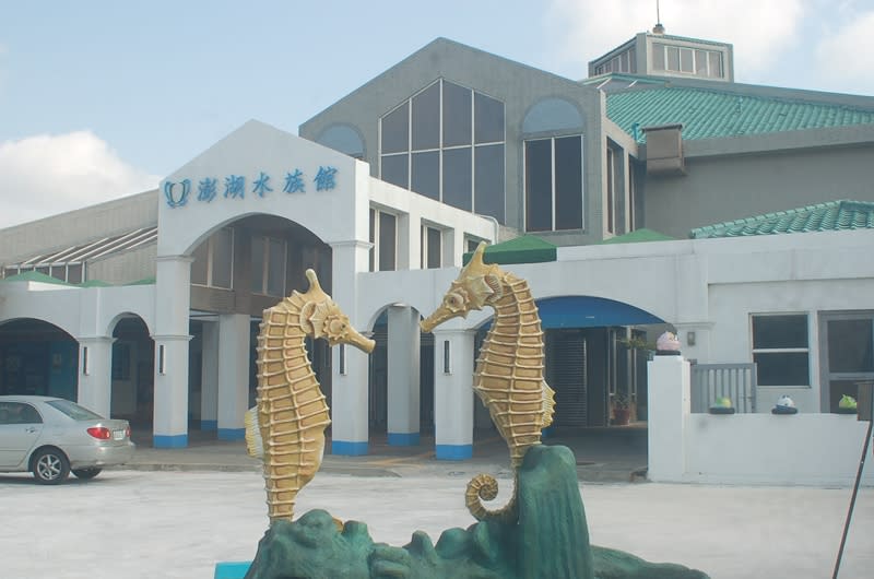 澎湖水族館5日在大雷雨中遭雷擊，機電設備受損，全館停電無法營運，公告休館一天，損失預估超過百萬元。（中央社）