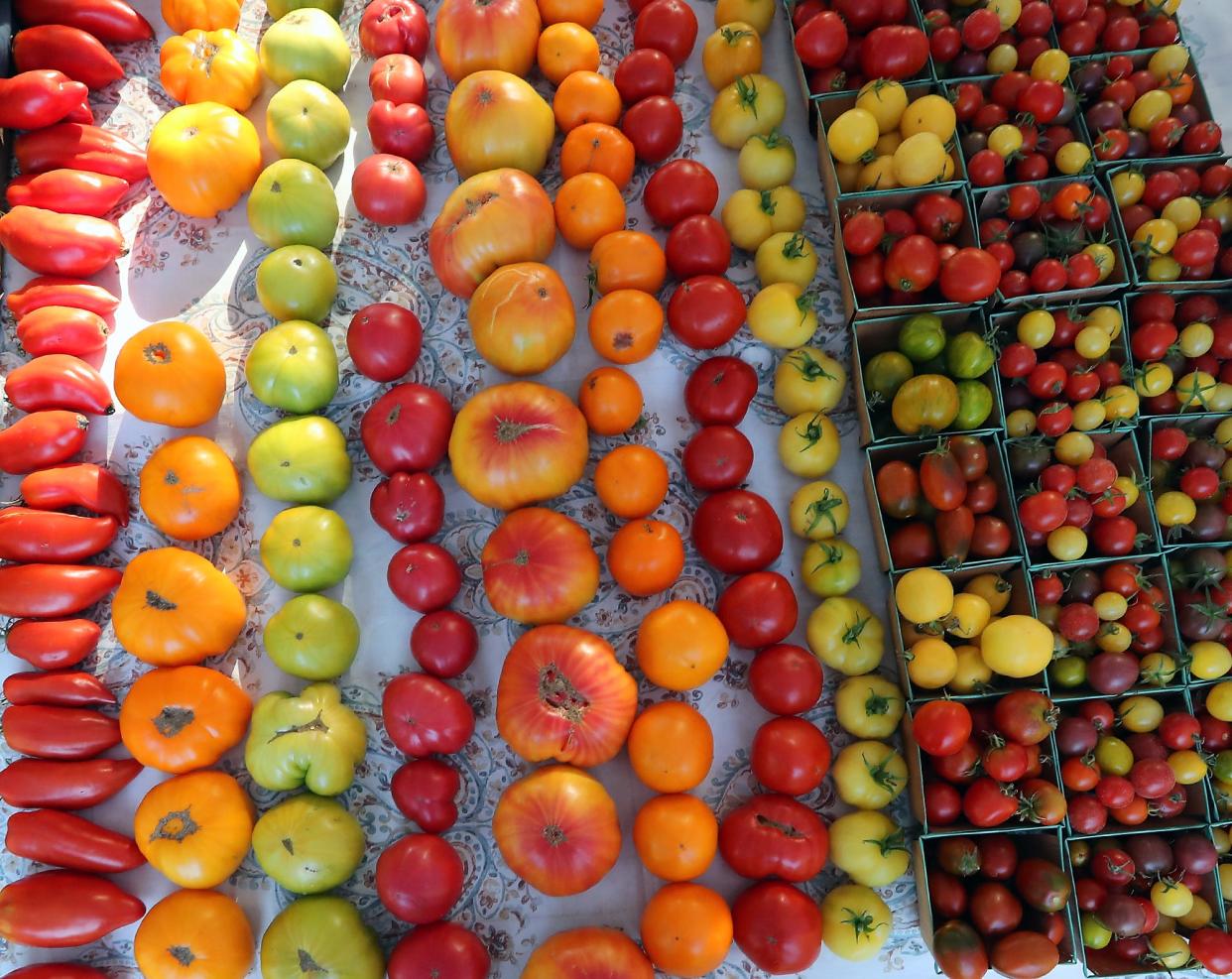 Tomatoes of various colors and sizes fill a table in the Around the Table Farm booth at the Bremerton Farmer's Market at Evergreen Rotary Park on Thursday, October 11, 2018. 