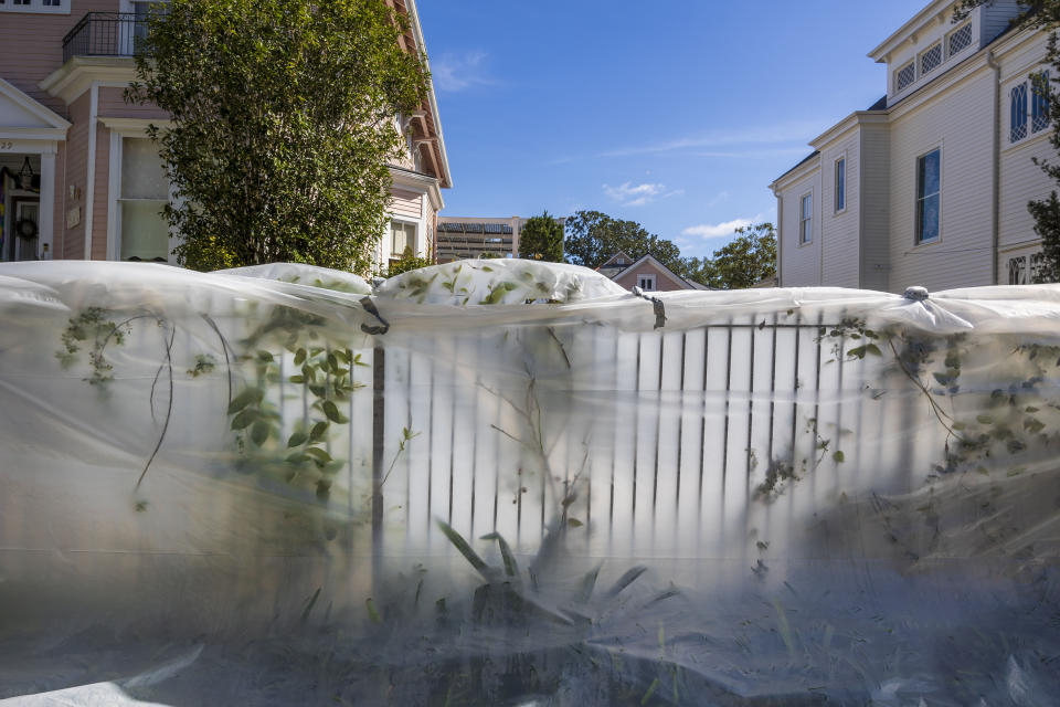 Vulnerable tropical plants are covered with a plastic tarp along a sidewalk during freezing weather in New Orleans on Tuesday, Jan. 16, 2024. (Chris Granger/The Times-Picayune/The New Orleans Advocate via AP)