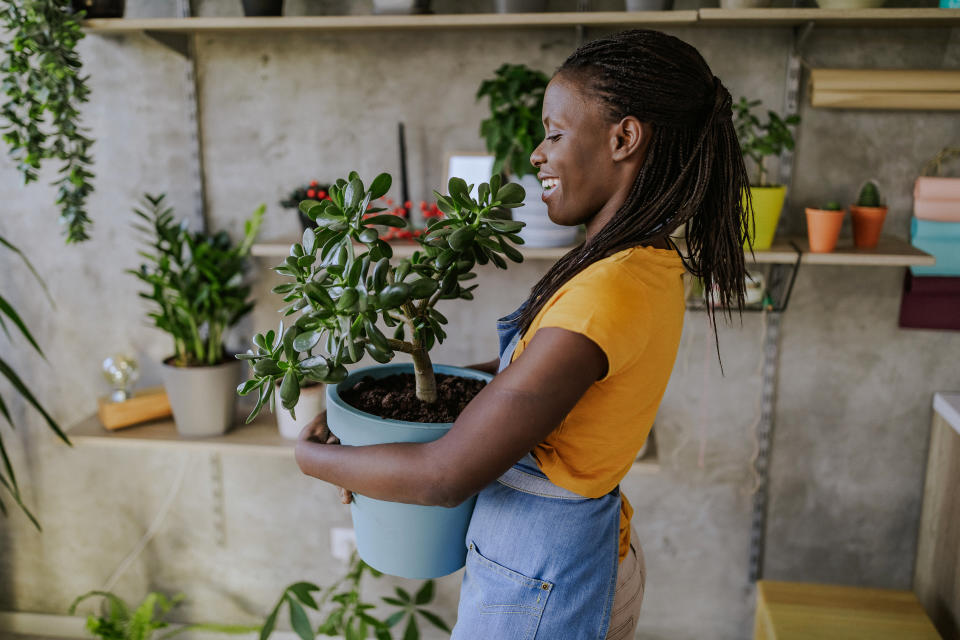 The size planter you use can mean a lot for the future health of your plant. (Photo: Pekic via Getty Images)