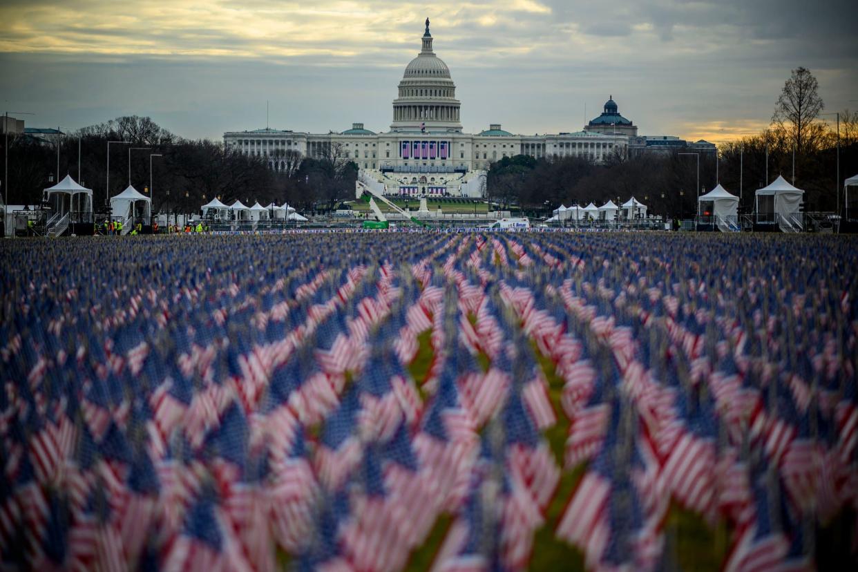 Les drapeaux sur le Mall de Washington  - Eric BARADAT / AFP