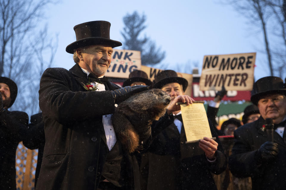 Groundhog Club co-handler John Griffiths holds Punxsutawney Phil during the 134th celebration of Groundhog Day on Gobbler's Knob in Punxsutawney, Pa. Sunday, Feb. 2, 2020. Phil's handlers said that the groundhog has forecast an early spring. (AP Photo/Barry Reeger)