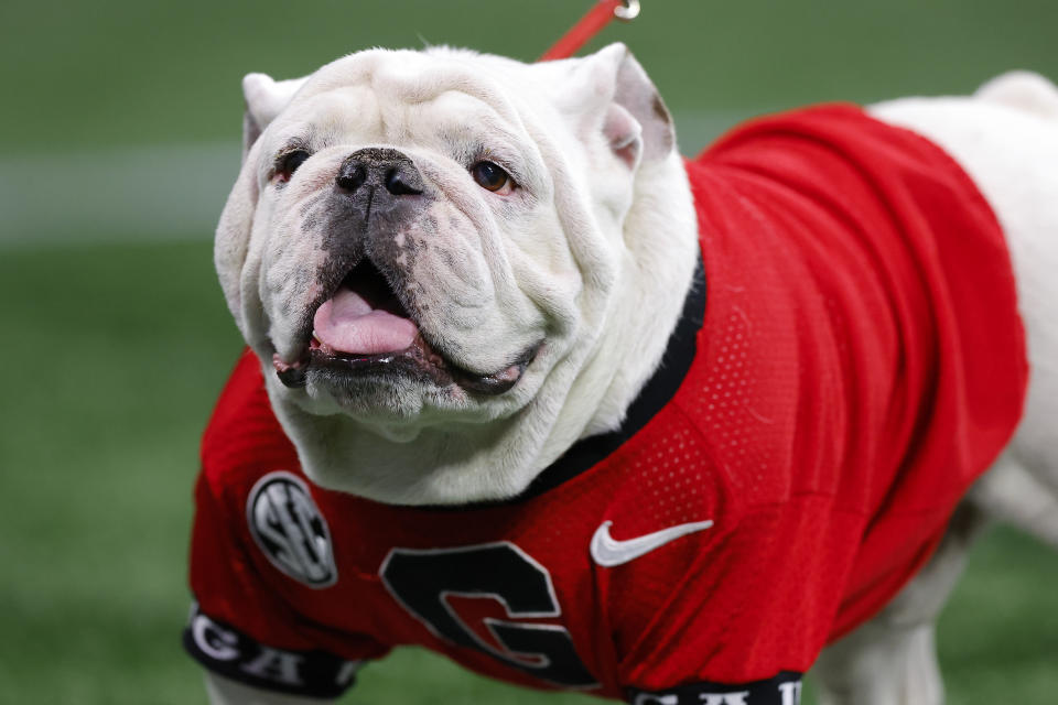 Uga X in the final days of his reign. (Todd Kirkland/Getty Images)