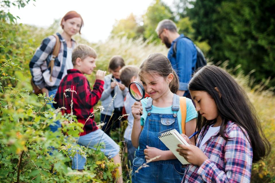 <a href="https://www.shutterstock.com/es/image-photo/group-school-children-teacher-on-field-1524565013" rel="nofollow noopener" target="_blank" data-ylk="slk:Shutterstock / Ground Picture;elm:context_link;itc:0;sec:content-canvas" class="link ">Shutterstock / Ground Picture</a>