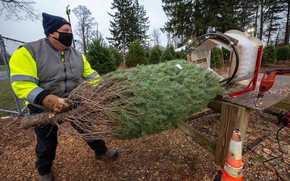 Firefighter Jerry Hathaway of the Levittown Fire. Co. No. 2 in Levittown, completes wrapping a Douglas Fir Christmas tree for a customer, Wednesday, Dec. 9, 2020.