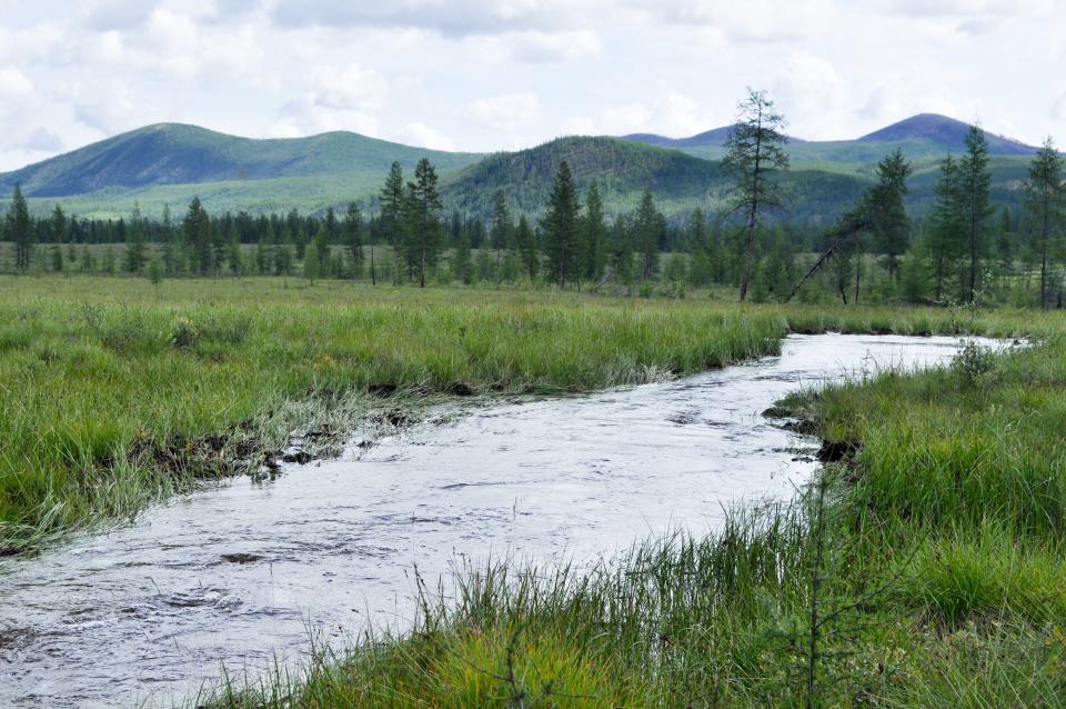 <h1 class="title">stream flows through the swamp.</h1><cite class="credit">Photo by Sergunt. Image courtesy of Getty.</cite>