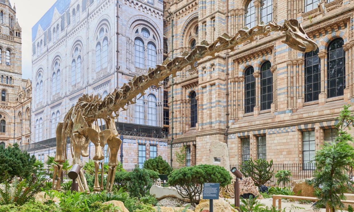 <span>The Natural History Museum recently redeveloped its outdoor space into two new gardens focusing on evolution and biodiversity.</span><span>Photograph: Jonathan E Jackson/NHM/PA</span>