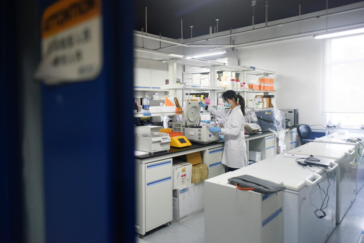 This picture taken on May 14, 2020 shows a researcher at Peking University's Beijing Advanced Innovation Center for Genomics conducting tests at their laboratory in Beijing. - The Chinese laboratory says it has developed a drug it believes has the power to bring the COVID-19 coronavirus pandemic to a halt, shortening the recovery time for those infected and even offering short-term immunity from the virus. (Photo by WANG ZHAO / AFP) / TO GO WITH Health-virus-China-vaccine,FOCUS by Qian Ye and Matthew Knight (Photo by WANG ZHAO/AFP via Getty Images)