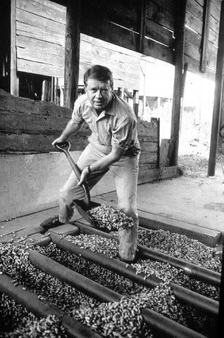 Hulton Archive/Getty Jimmy Carter on the peanut farm