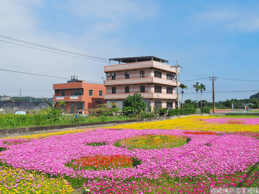 2023桃園花彩節