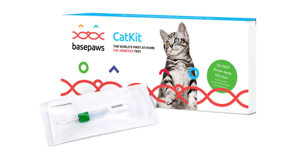 Cat DNA Test Kit 