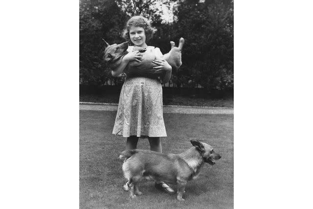 <p>Lisa Sheridan/Studio Lisa/Hulton Archive/Getty Images</p> Princess Elizabeth (now Queen Elizabeth II) with two corgi dogs at her home at 145 Piccadilly, London, July 1936.