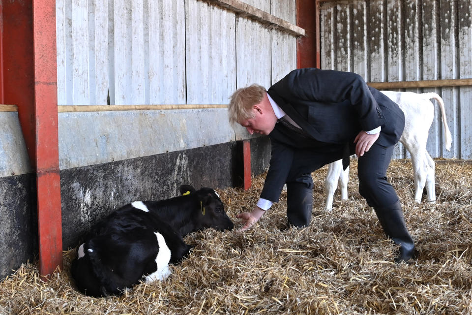 <p>Prime Minister Boris Johnson during a visit to Moreton farm in Clwyd near Wrexham, north Wales, as part of Welsh Conservative Party Senedd election campaign. Picture date: Monday April 26, 2021.</p>
