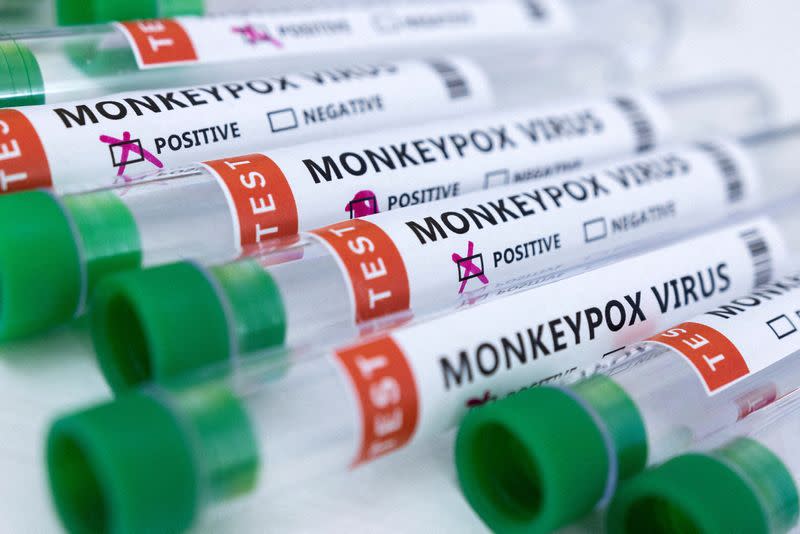 FILE PHOTO: FILE PHOTO: Illustration shows test tubes labelled "Monkeypox virus positive and negative\