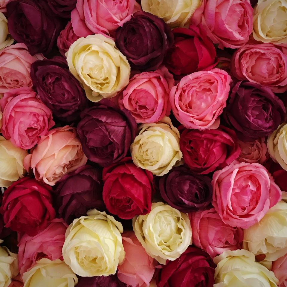 Mixed Roses