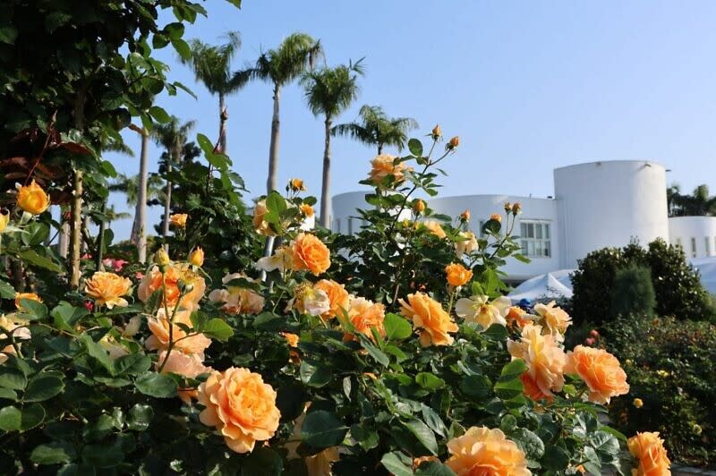 Photo：臺北市政府工務局公園路燈工程管理處