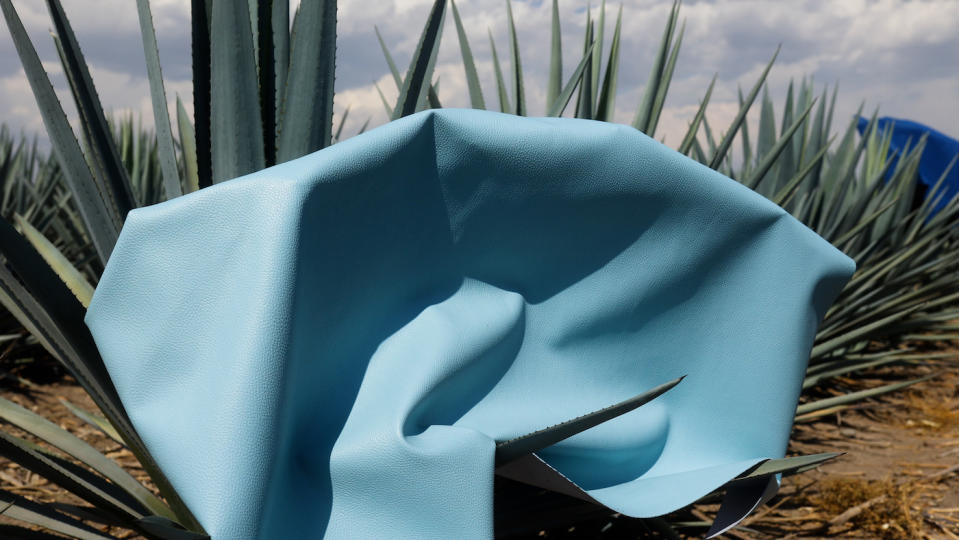 Mexican company Adriano Di Marti develops Desserto, a cactus-based leather alternative biomaterial.