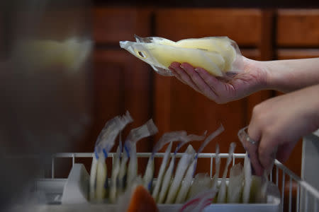 Lauren Hoffmann, 29, a college program manager, freezes bags of breast milk in preparation of her return to work in San Antonio, Texas, U.S., February 12, 2019. REUTERS/Callaghan O'Hare