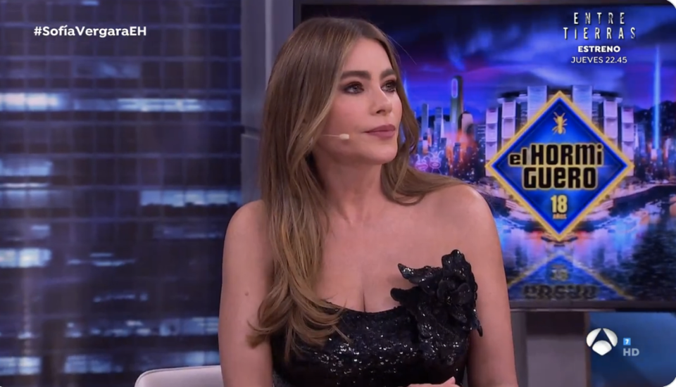 Sofia Vergara appeared to be offended during an interview on 