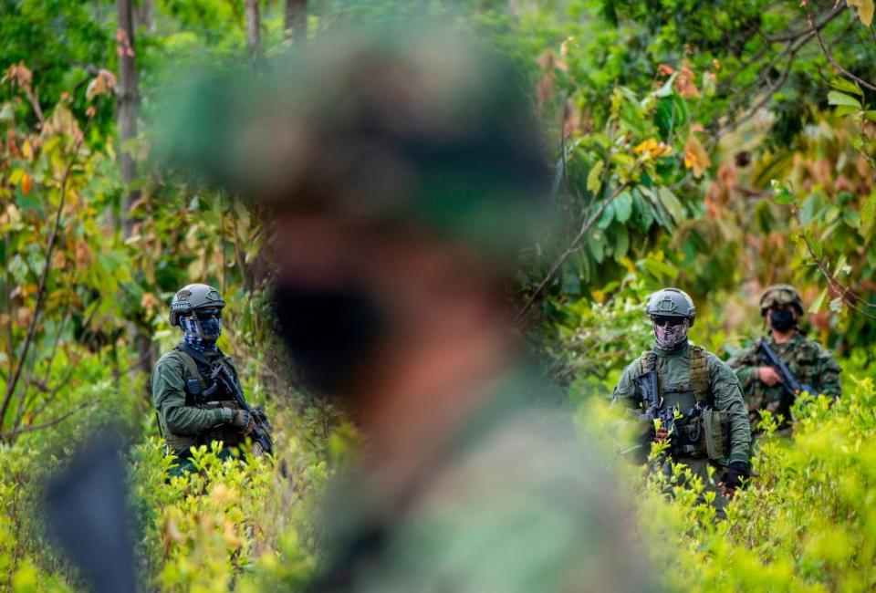 Colombian police officers stand guard inside of a coca field during an operation to eradicate illicit crops in Tumaco, Narino Department, Colombia on Dec. 30, 2020. The year marked another consecutive record for the eradication of coca plants, the raw material for cocaine.<span class="copyright">Juan Barreto—AFP via Getty Images</span>