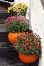 <p>Don't turn your hallowed-out pumpkins into jack-o'-lanterns just yet! Instead, plant fall mums inside for the perfect planters to lead guests up your steps. </p><p><strong>Get the tutorial at <a href="http://www.17apart.com/2012/10/how-to-fall-pumpkin-planters.html" rel="nofollow noopener" target="_blank" data-ylk="slk:17Apart;elm:context_link;itc:0;sec:content-canvas" class="link ">17Apart</a>.</strong><br></p>